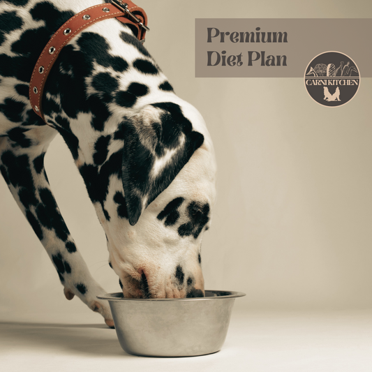 Premium Diet Plan for Adult Dog